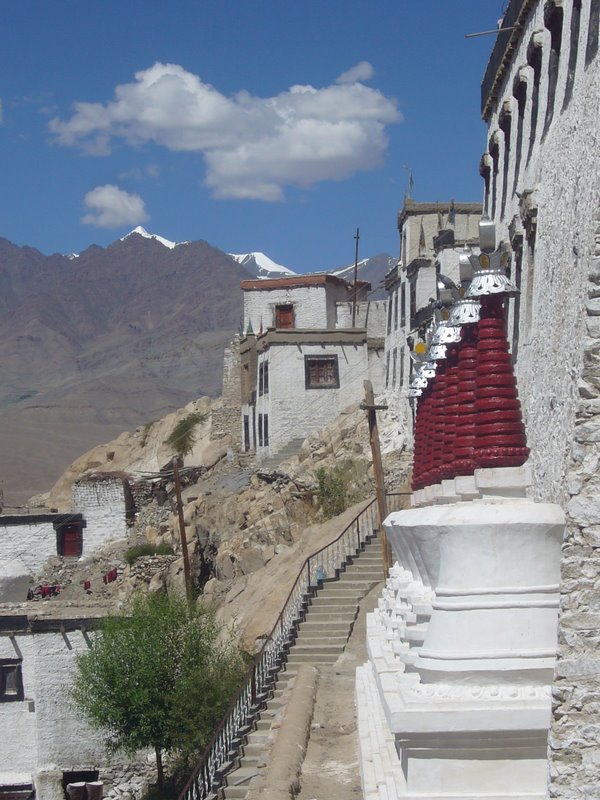 Travel - India - Ladakh - Thikse - Heading Up